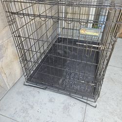 Dog Cage 