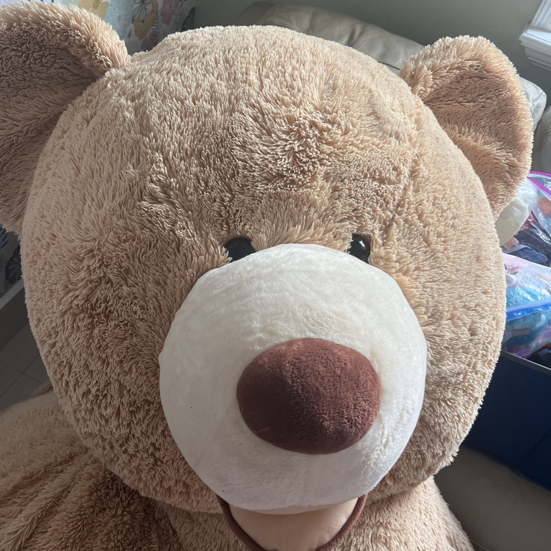 Huge Teddy Bear
