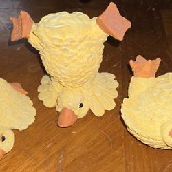 Playful Duck Collecting