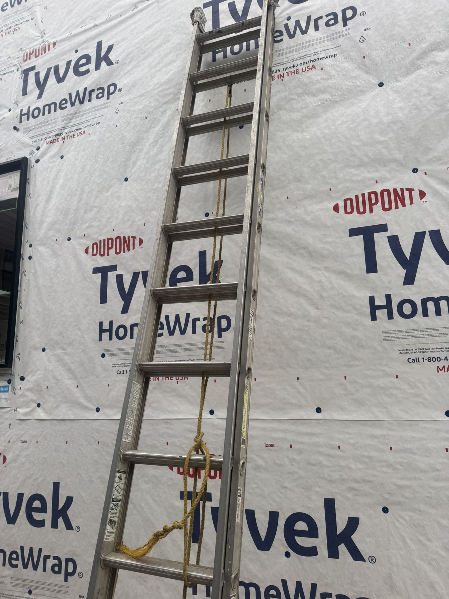 Ladder  24 Ft 