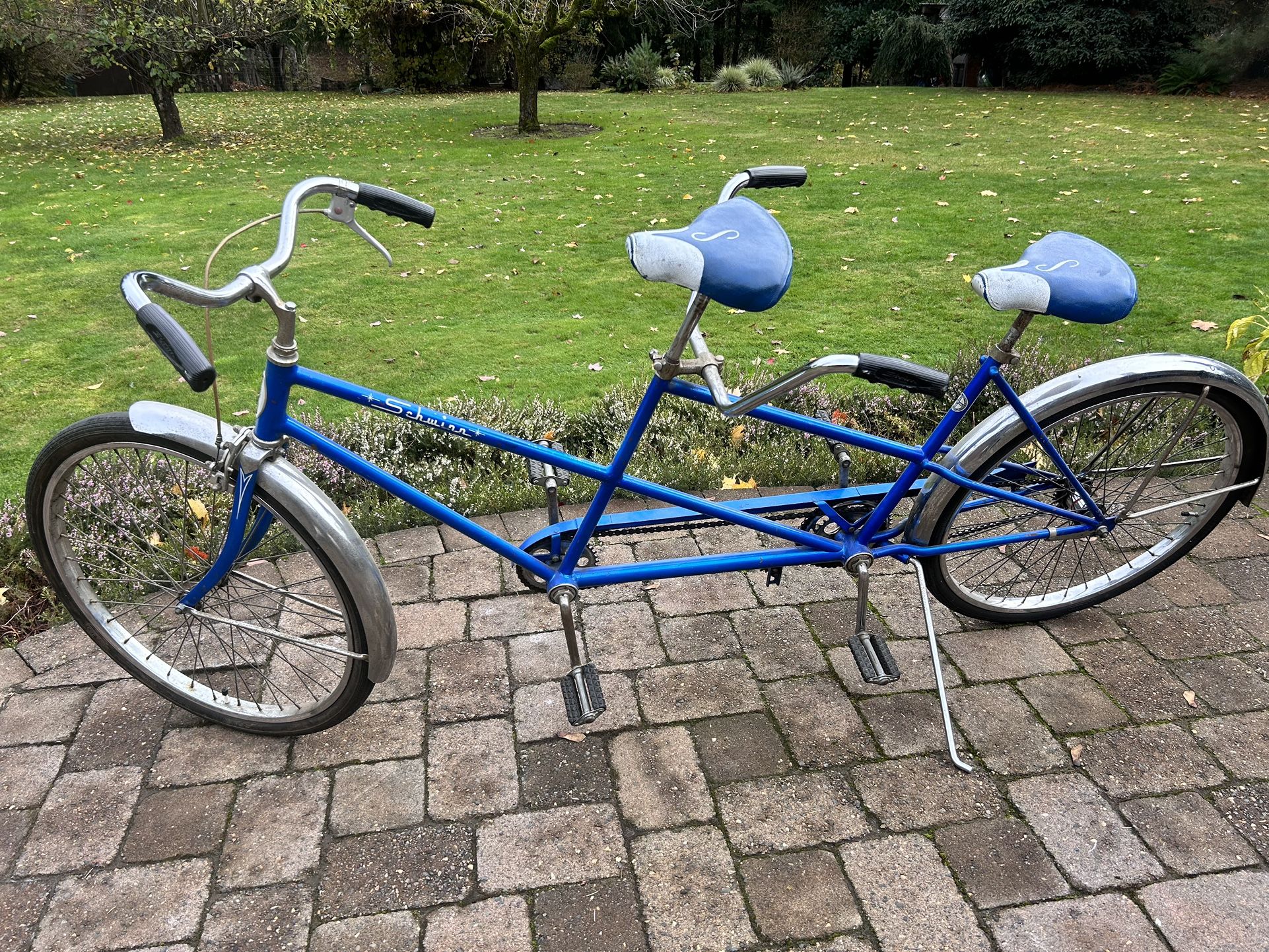 Schwinn Twinn Bicycle