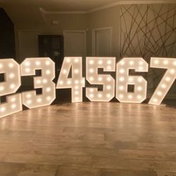 Marquee Number Lights 
