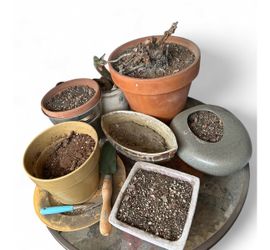 Set of 7 Plant Pots