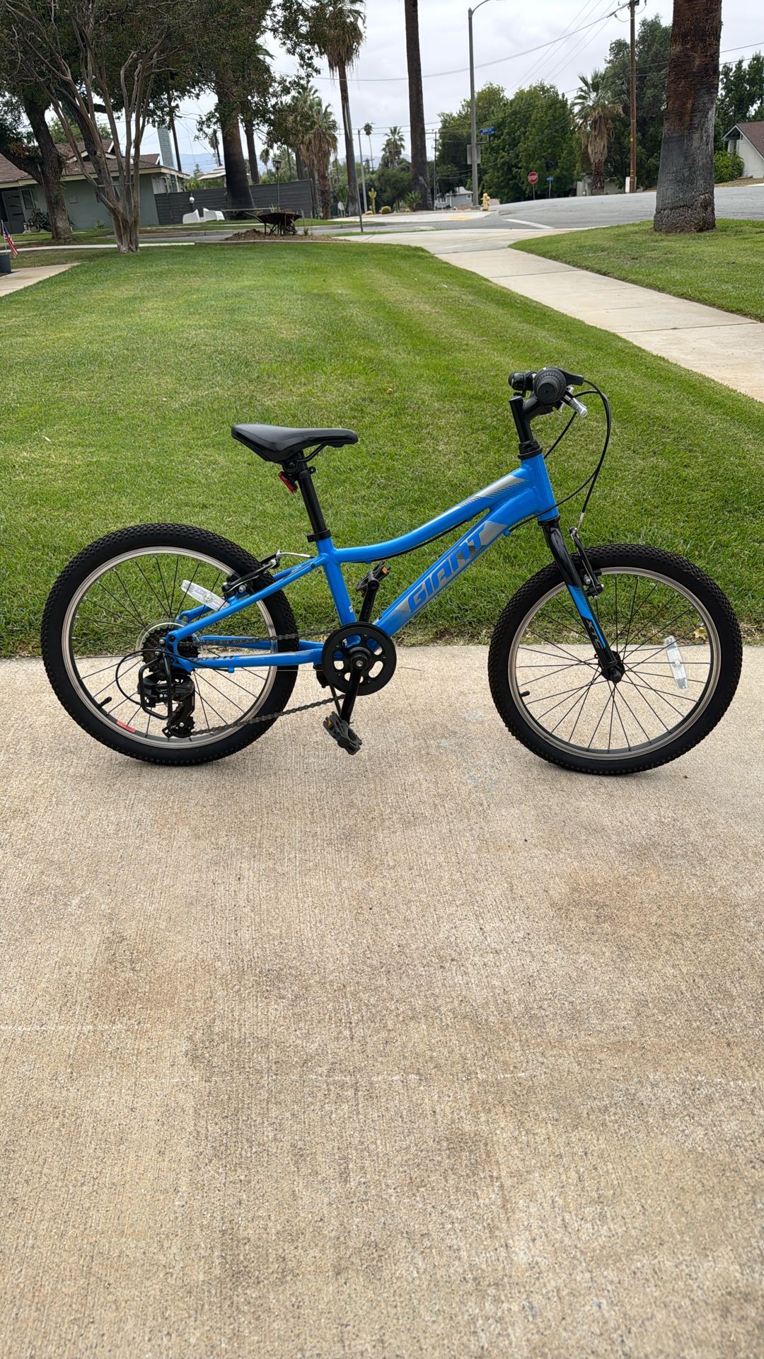 Giant Kids Mountain Bike For Sale