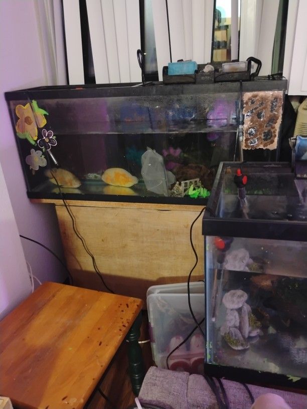 60 Gallon