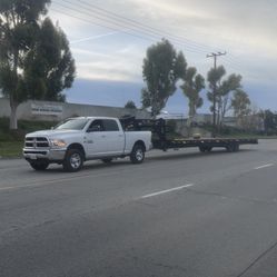 Tráiler Silverback 