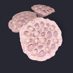 Set of 3 Brown  Artificial Flowers/Plant for Decoration