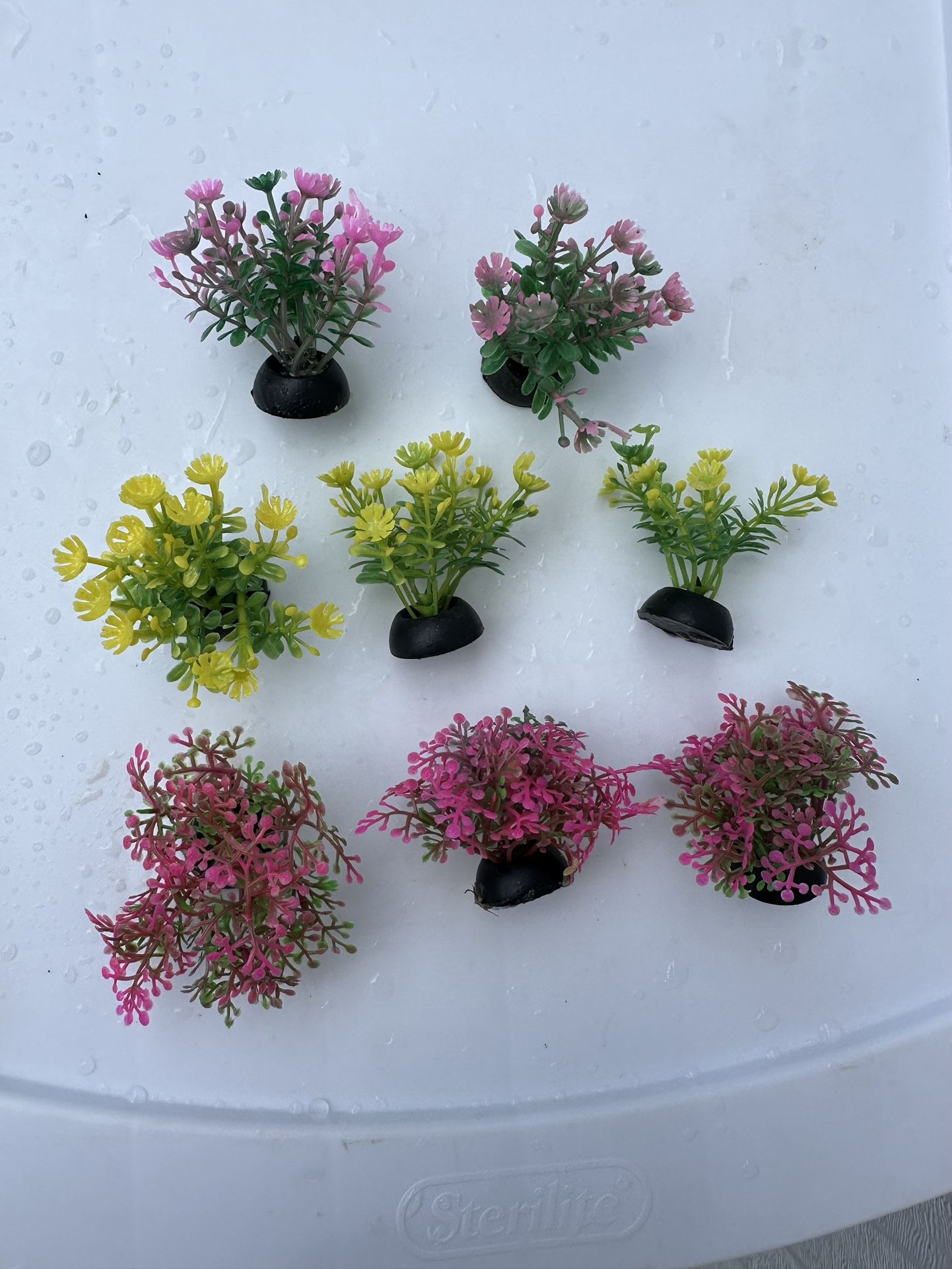 Small Aquarium Decor