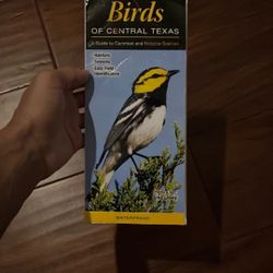Water-proof Birds Of Central Texas Finder 