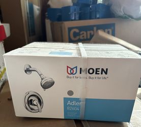 Moen Shower head