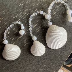 Real Unique Shell Decoration