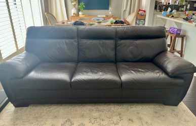 Dark brown leather couch