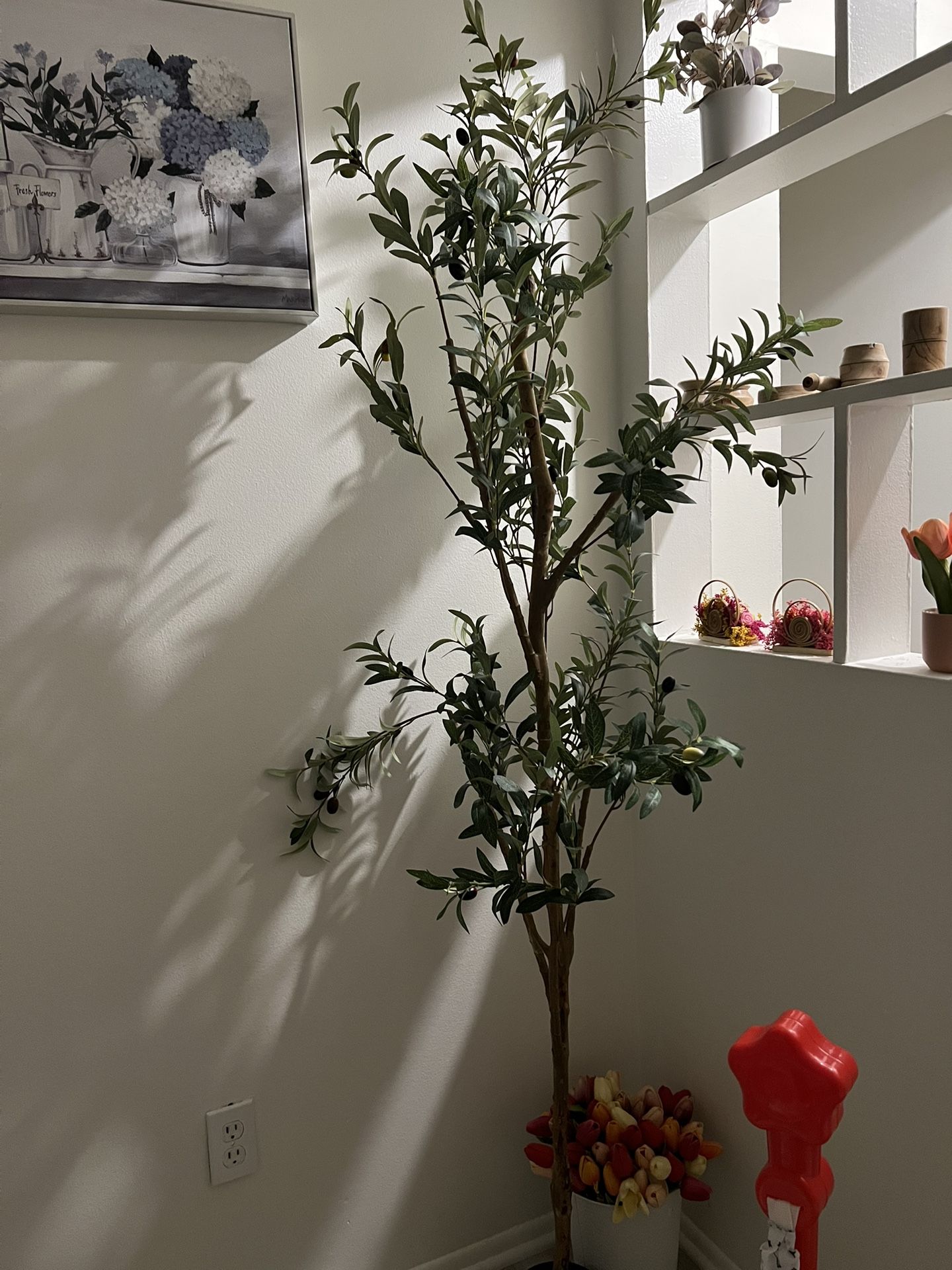 Olive Tree