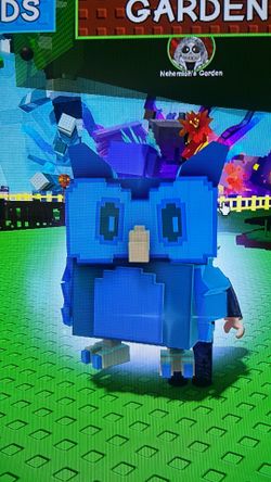 Shiny night owl