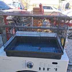 Nice small black bird Cage would condition