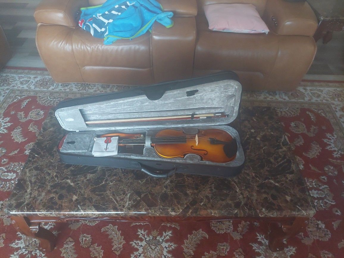 Violin