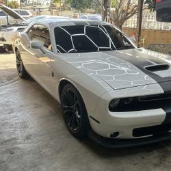 Windows Films Tints Rolls Automotive 