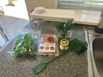Fish Tank & Supplies