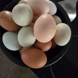 $7 Dzn Fresh Organic Eggs