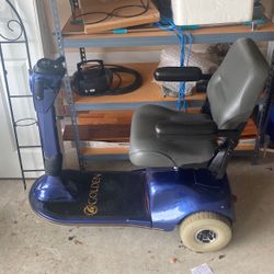 Gold Champion Scooter