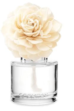 Scentsy Fragrance Flowers