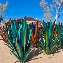Metal Yard Art, BIRDBATHS & POTTERY 🌵 🌺 