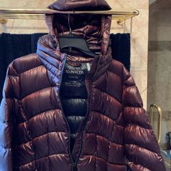 CALVIN KLEIN XL New Beautiful Colour