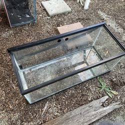 20 gallon long with metal mesh lid