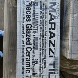 12" X 12" Mossaic Tile - Marazzi Stone Age Mammoth