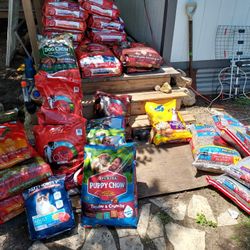 Dog Food 31.1 Pound Bags $20 Each!
