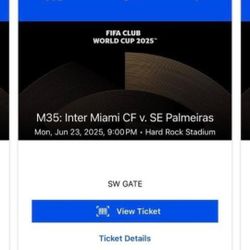 Inter Miami CF vs Palmeiras