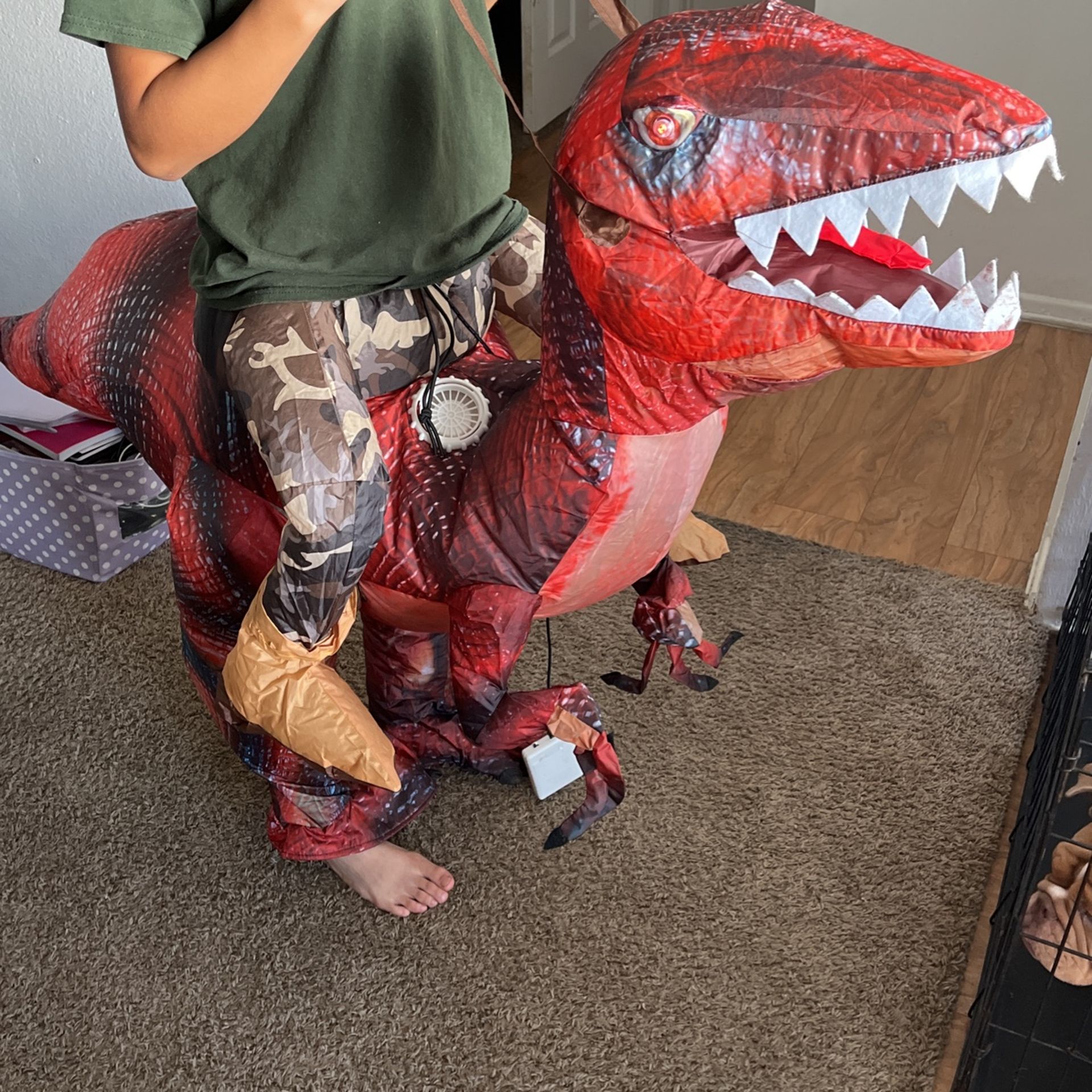 Dinosaur Costume Ages 8-12