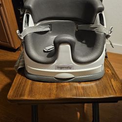 Ingenuity Booster Infant Seat
