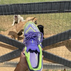 Adidas F50 Indoor / Turf