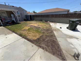Bermuda grass seed