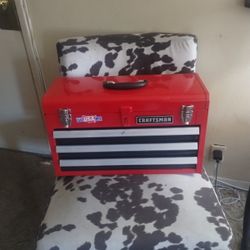  Tool box / Craftsman 