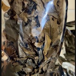 Oak Leaf Litter Bioactive Reptile Gecko Isopod