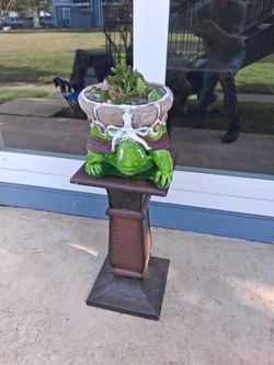 Ceramic Planter with Live Cactus