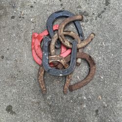 Horseshoes