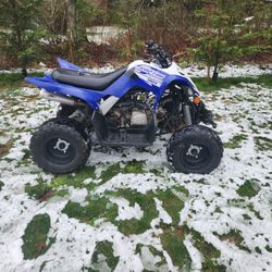 Yamaha Raptor 90cc 