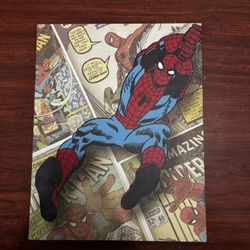 Spider-Man Canvas 