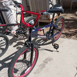 Schwinn & Razor 20"