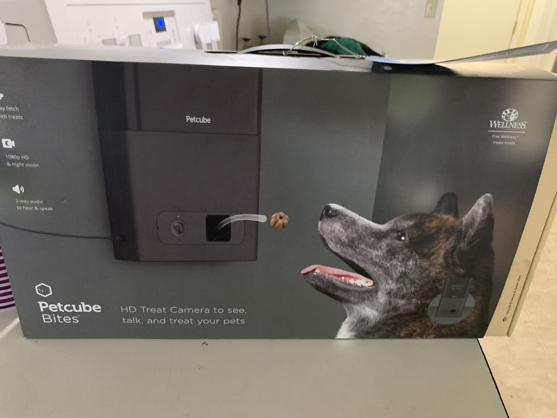 Pet Cube