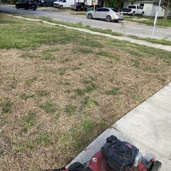 Grass Cuts For 40 