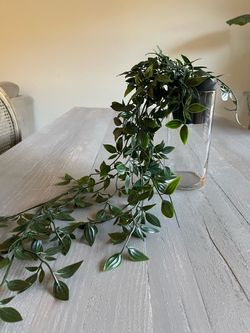 Artificial Trailing Vine Plant in Glass Vase