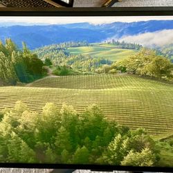 Samsung 34” Monitor