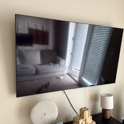 65in Samsung TV