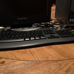 computer monitor 