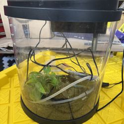 Topfin 3.5 Gallon Fish Tank