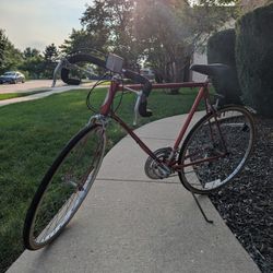 Vintage Chicago Schwinn